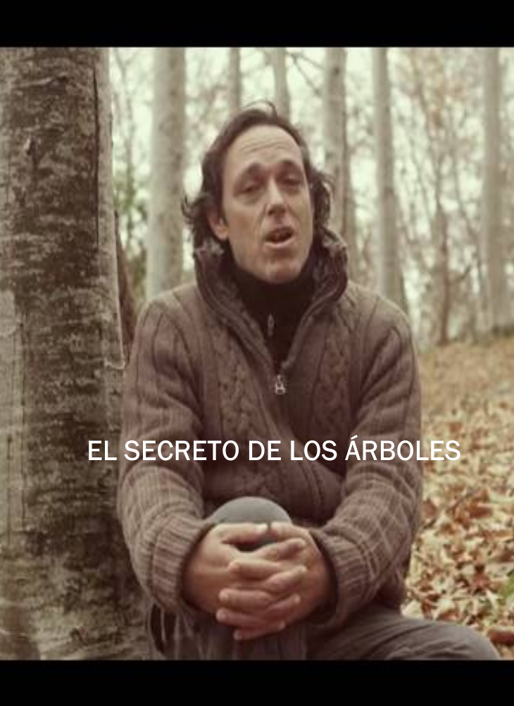 El Secreto de los Árboles – Incorto